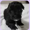 Randall L. Brunner - @randall.l..brunne - TikTok