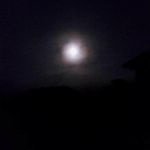 randy burdette - @randallpburdette - Instagram