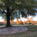 Randy Burroughs - Facebook