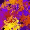Randall Cannon - @randall.cannon - TikTok