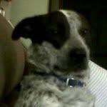Randall Chamberlin - @randallchamberlin - Instagram