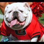 Randall Chambers - @rchambers74 - Instagram