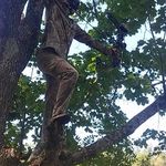 Randall Chambers - @chamberrandall - Instagram