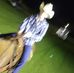 Randy Chambers - Facebook