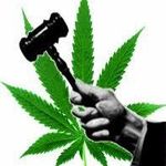 Randall Conley - @randallconley69 - Instagram