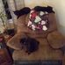 Randy Conley - Facebook