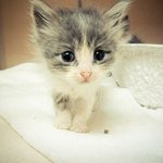 Randall Cooley - @randallcooley - Instagram