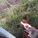 Randall Crowe - @randall.crowe.5030 - Instagram