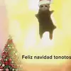 Randall Daniel castillo - @randall.daniel.ca - TikTok