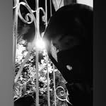 Randall Daniel Perez Paz - @randalldanielperez - Instagram