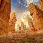 Randall Dickens - @randalldickens80 - Instagram