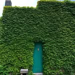 Randall Dickson - @dorantmanshu - Instagram