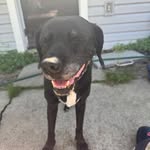 Randall K Dixon - @randalldixon333 - Instagram