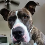 Randall Donovan - @rjdonovan519 - Instagram