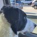 Randy Donovan - Facebook