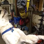 Randall Dopp - @randwilly69 - Instagram