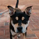 Randy - @_randalldunham - Instagram