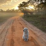 Randall Eckert - @randy_eckert - Instagram