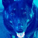 Randall Eckert - @randalleckert - Instagram