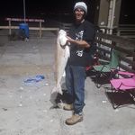 Hank Ferrell - @ferrellrandall - Instagram