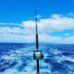 Randall Ferris - @fishman_ferris - Instagram