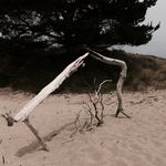 Randall Fleming - @northcloud_press - Instagram