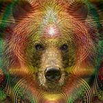 Randall Fowler - @randall.fowler.9638 - Instagram