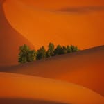 Randall Fraley - @randallfraley399 - Instagram