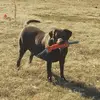 randallfarley257 - @randallfarley257 - TikTok