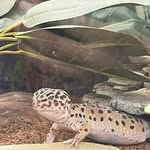 randall - @randalll.friend - Instagram