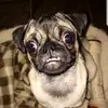 Randall Friend - @randini73 - TikTok