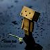 Randall Gonzalez - Facebook