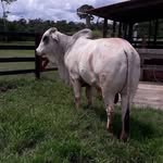 Randall González - @randallgonzalez692 - Instagram