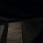 Randall Graves - @randy_the_mandall - Instagram