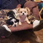 Randall Grayson - Facebook