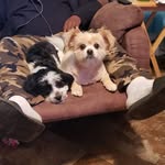 Randall Grayson - @randall.grayson.940 - Instagram