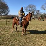 Randall Greene - @randall__greene - Instagram