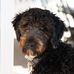 Randall Grubbs - Facebook