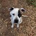 Randall Gustafson - Facebook