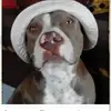 Randall - @randallgutierrez94 - TikTok