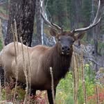 Randy Harrington - @randallharrington79 - Instagram