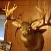 randallhenson755 - @randallhenson755 - TikTok