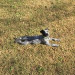 Echo Randall Hogan - @echorandallhogan - Instagram