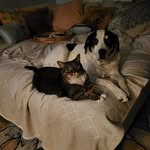 Randall Holderman - @holdermanrandall - Instagram