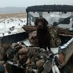Randall Hooper - @randall.hooper - Instagram