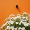 randall.johnson.0507 - @randall.johnson.0 - TikTok