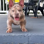 Randall Jay - @_tbnr - Instagram
