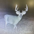Randall Jay - Facebook