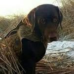 Randall Jefferson - @randalljefferson - Instagram
