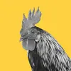 JRChicken2Day - @justusrandall - TikTok